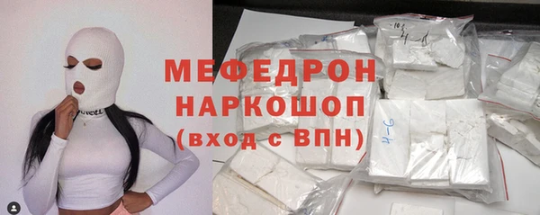 трава Ельня
