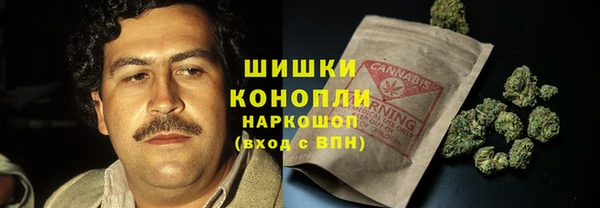 дживик Елабуга