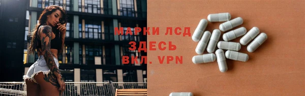 трава Ельня
