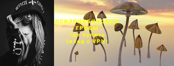 ALPHA PVP Заводоуковск