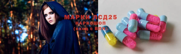 MESCALINE Елизово
