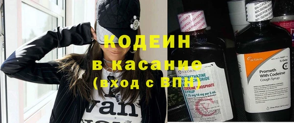 трава Ельня