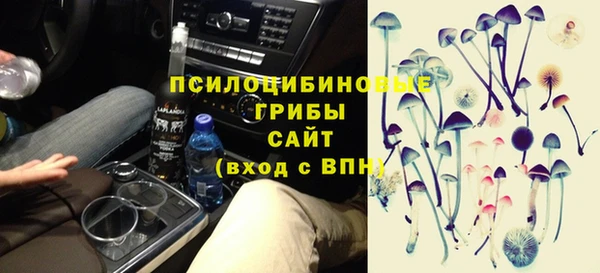 спиды Заволжье