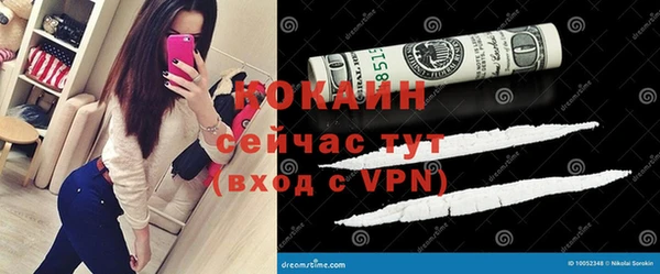 трава Ельня